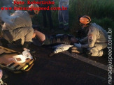 Maracaju: Pneu estoura e causa queda de motocicleta na BR-267