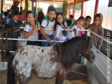  Maracaju: Projeto Fazendinha traz crianças para a 47ª Expomara
