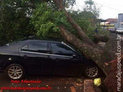 Árvore cai em cima de dois veículos no centro de Maracaju