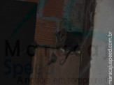 Maracaju: Bombeiros capturam gambá no interior do depósito do antigo Clube Imaginário