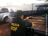 Caarapó: DOF apreende 340 kg de Maconha em fundo falso em carroceria de Silverado