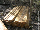PMA prende fazendeiro e o autua em R$ 45,6 mil por desmatamento, exploração de madeira, degradação de córrego e posse ilegal de arma