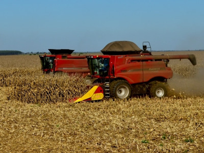 FMC lança novo fungicida para milho no Mato Grosso do Sul