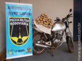 Maracaju: PRE apreende motocicleta carregada com 24 kg de maconha na rodovia MS-166