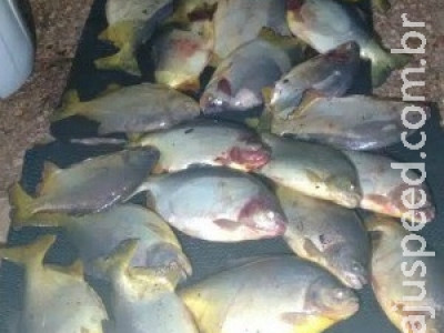 Pescador é preso em MS com 40 quilos de peixe durante piracema