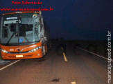 Maracaju: Corpo de Bombeiro atende ocorrência de colisão entre ônibus e bi trem durante a madrugada na BR-267