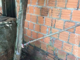 Maracaju: Corpo de Bombeiros captura cobra coral em parede de poço de água no Bairro Biquinha
