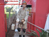 Bombeiros de Maracaju capturam Jacaré em pátio de empresa na Av. Marechal Floriano Peixoto