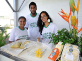 Nas Olimpíadas, Maracaju, Terenos e Naviraí representam a força da agricultura familiar de MS