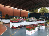 Maracaju: A Casa da Amizade e Rotary Club expõe e comercializa Flores de Holambra no centro de Maracaju
