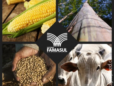 VBP (Valor Bruto de Produção) da agropecuária atinge R$ 27 bilhões em 2016, segundo previsão do Sistema Famasul