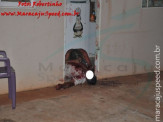Maracaju: Homem é assassinado com golpe de faca no pescoço no interior de sua residência