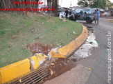 Maracaju: Condutor possivelmente embriagado perde controle de veículo e colidi com figueira centenária