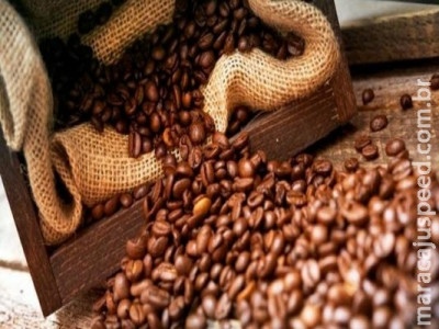 Safra de café em 2017 pode ficar entre 43 e 47 milhões de sacas, diz Conab