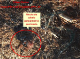 Maracaju: Crime bárbaro, mulher é encontrada morta, com corpo envelopado em filme de PVC de cozinha e parcialmente queimado