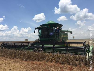 Na primeira semana de trabalho das máquinas, MS colhe 3,2% da soja plantada