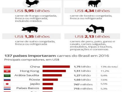 Exportação de carne brasileira desaba após operação da Polícia Federal  Exportação de carne brasileira desaba após operação da Polícia Federal
