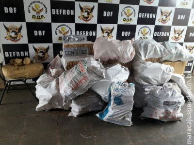 Casal é preso transportando em carros mais de uma tonelada de maconha Casal é preso transportando em carros mais de uma tonelada de maconha