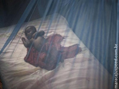Organização Mundial da Saúde quer aumentar esforços globais contra a malária