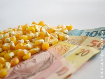 Aprosoja/MS garante pagamento de preço mínimo oficial ao produtor de milho de MS