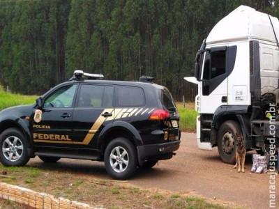 Cão encontra cocaína em caminhão