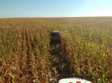 Maracaju: PRE BOP de Vista Alegre recupera veículo produto de roubo em Campo Grande  Maracaju: PRE BOP de Vista Alegre recupera veículo produto de roubo em Campo Grande