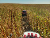 Maracaju: PRE BOP de Vista Alegre recupera veículo produto de roubo em Campo Grande  Maracaju: PRE BOP de Vista Alegre recupera veículo produto de roubo em Campo Grande