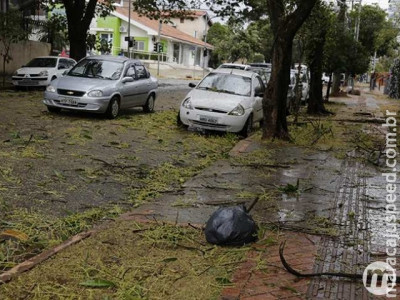 Temporal acompanhado de granizo causa danos em várias regiões da Capital