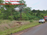 Maracaju: Carreta desgovernada sai fora de rodovia e percorre mais de 300 metros mata adentro e atola em brejo