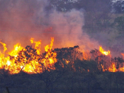 VÍDEO: bombeiros de 4 cidades combatem incêndio em parque estadual de MS