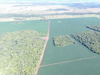 PMA autua em R$ 28 mil produtor rural por desmatamento ilegal de 93,5 hectares de vegetação nativa 