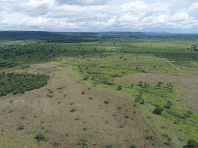 PMA de Coxim autua fazendeiro em R$ 159 mil por desmatamento ilegal de 159 hectares em vistoria realizada durante a operação Cervo-do-Pantanal