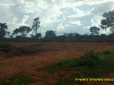 PMA de São Gabriel autua fazendeira em R$ 120 mil por desmatamento ilegal de 112 hectares envolvendo área protegida durante a operação Cervo-do-Pantanal