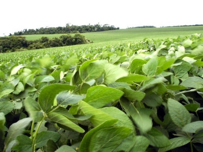 Redução da emissão de carbono na agricultura de MS é assunto do Showtec 2018