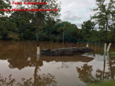 Maracaju: Chuva intensa durante a noite, deixa regiões alagadiças em bairros e vilas