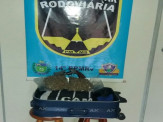 Maracaju: PRE BOP Vista Alegre prende mulher que transportava arma de fogo, maconha e pasta base de cocaína Maracaju: PRE BOP Vista Alegre prende mulher que transportava arma de fogo, maconha e pasta base de cocaína