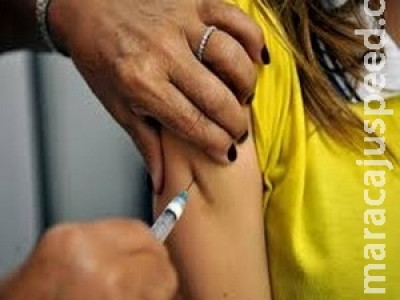Saúde volta a investigar casos de febre amarela em MS