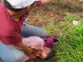 Urgente: Jovem é baleado em tentativa de assalto à comércio na Vila Juquita