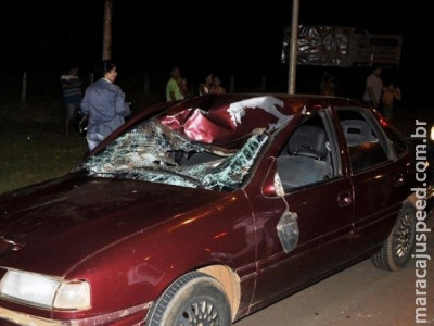 Cavalo morre e duas pessoas ficam feridas após carro atropelar animal Cavalo morre e duas pessoas ficam feridas após carro atropelar animal