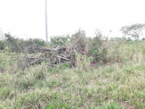 PMA de Dourados autua fazendeiro em Maracaju em R$ 19 mil por desmatamento ilegal de 19 hectares de vegetação nativa para plantio de pastagem