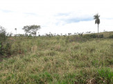 PMA de Dourados autua fazendeiro em Maracaju em R$ 19 mil por desmatamento ilegal de 19 hectares de vegetação nativa para plantio de pastagem
