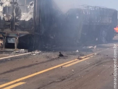 Caminhões batem de frente e pegam fogo em acidente na BR-267