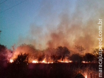 Bombeiros do Brasil e polícia boliviana combatem incêndio que ameaçava gasoduto no país vizinho
