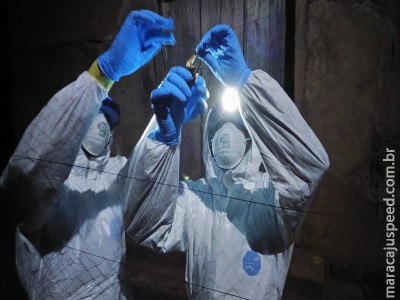 Cientistas encontram nova versão do vírus ebola em morcegos em Serra Leoa Cientistas encontram nova versão do vírus ebola em morcegos em Serra Leoa