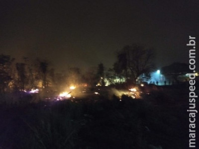 Incêndio destrói 100 m2 de vegetação e carcaças de veículos em MS Incêndio destrói 100 m2 de vegetação e carcaças de veículos em MS
