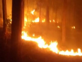 Maracaju: Corpo de Bombeiros extingui incêndio quatro vezes na mesma região em menos de 24 horas