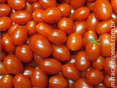 Novo tomate desenvolvido na Embrapa pode conter três vezes mais licopeno Novo tomate desenvolvido na Embrapa pode conter três vezes mais licopeno