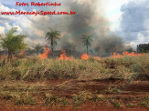 Maracaju: Incêndio em área rural próximo a BR-267, coloca Corpo de Bombeiros em ação com apoio da Polícia Militar