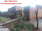 Maracaju: Irresponsabilidade ou descaso de proprietário rural, quase que resulta em uma tragédia no Conjunto Fortaleza II