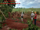 Maracaju: Bombeiros realizam corte e retirada de árvore que interditou estrada vicinal Germano Bellan